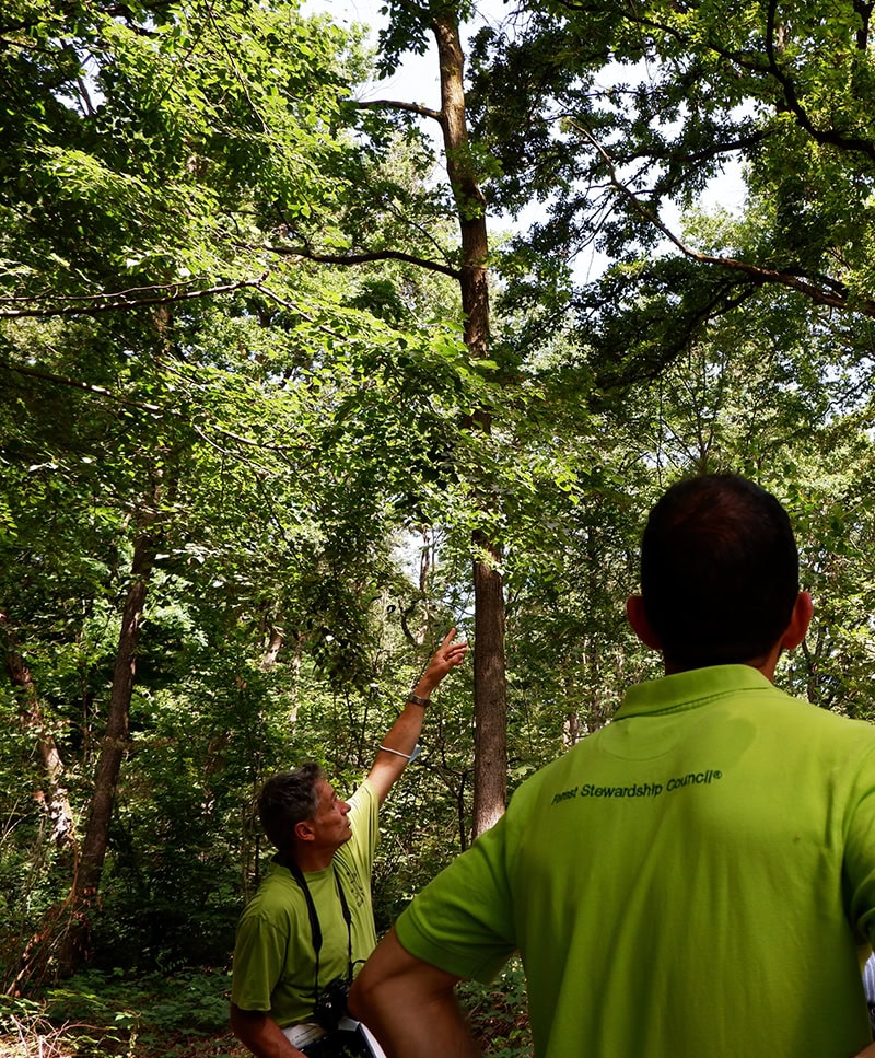 Servizi ecosistemici per i gestori forestali